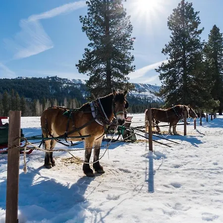 Aspen Suites 505: Enchantment Abode Leavenworth Exterior photo
